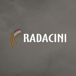 Rădăcini  -